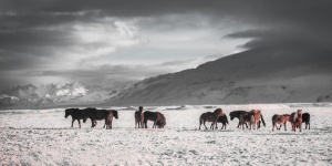 Iceland Winter