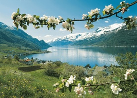 The Magic of the Fjords