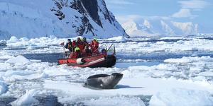 Falkland Islands, Georgia and Antarctica Expeditions