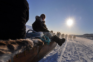 Ice, Northern Lights and Dogsledding in Greenland