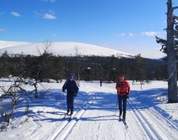 Ski Scandinavia