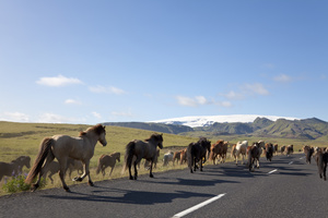 Hiking In Iceland: Landmannalaugar-Thorsmork