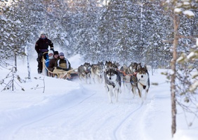 Arctic New Year In Lapland