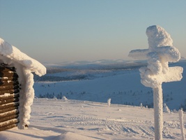 Arctic New Year In Lapland