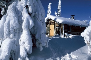 Rovaniemi Winter Experience