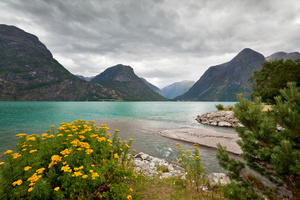 Norwegian Fjords and Coastline