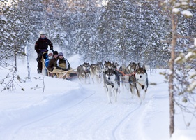 Christmas in Lapland
