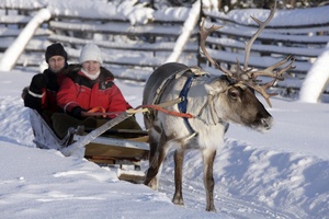 Christmas in Lapland