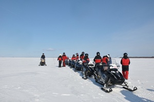 Ultimate Arctic Adventure