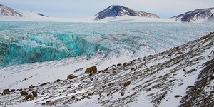 Full Spitsbergen Circumnavigation Cruise