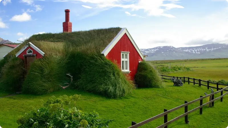 Icelandic Farms and Agriculture — How Iceland Works Image