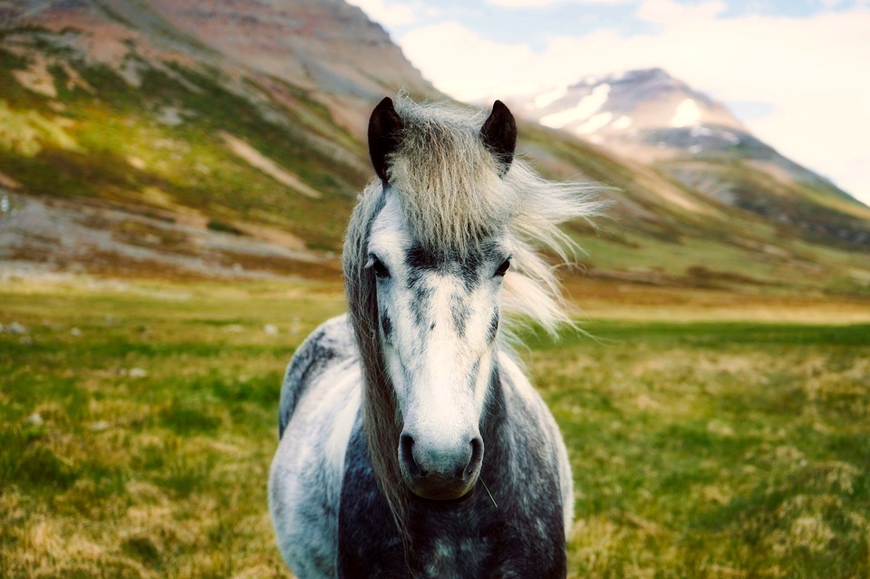 Iceland Unique Place on our Planet peview