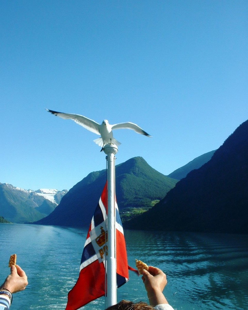 Norwegian Glacier Museum.