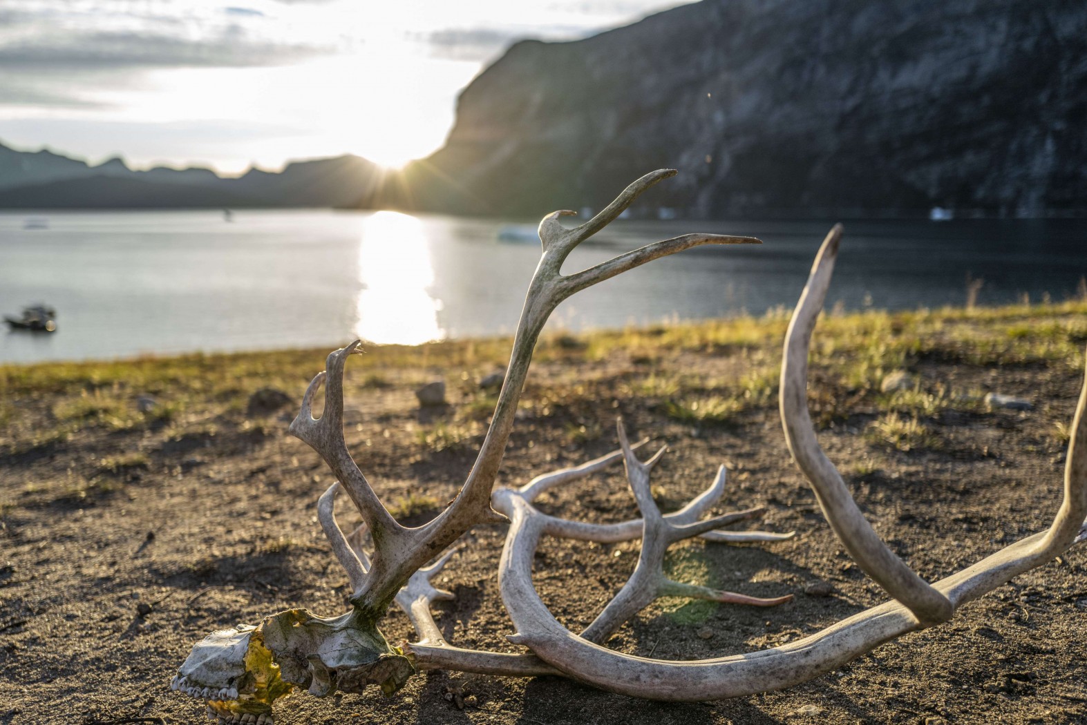 Greenlandic Tale of Icebergs and Inuit Legacy