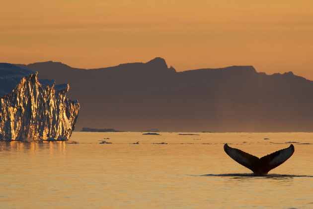 Ilulissat: Icebergs in the Midnight Sun