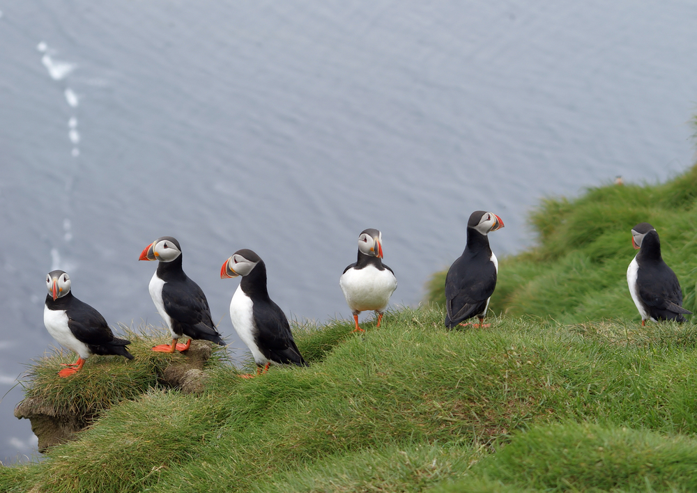 Iceland 2 Day Private Tour: Golden Circle and South Coast