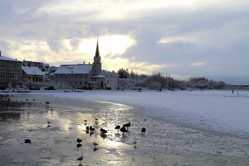 Iceland's Natural Highlights and South Coast