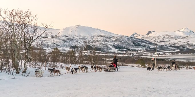 Most Popular Winter Activities in Scandinavia