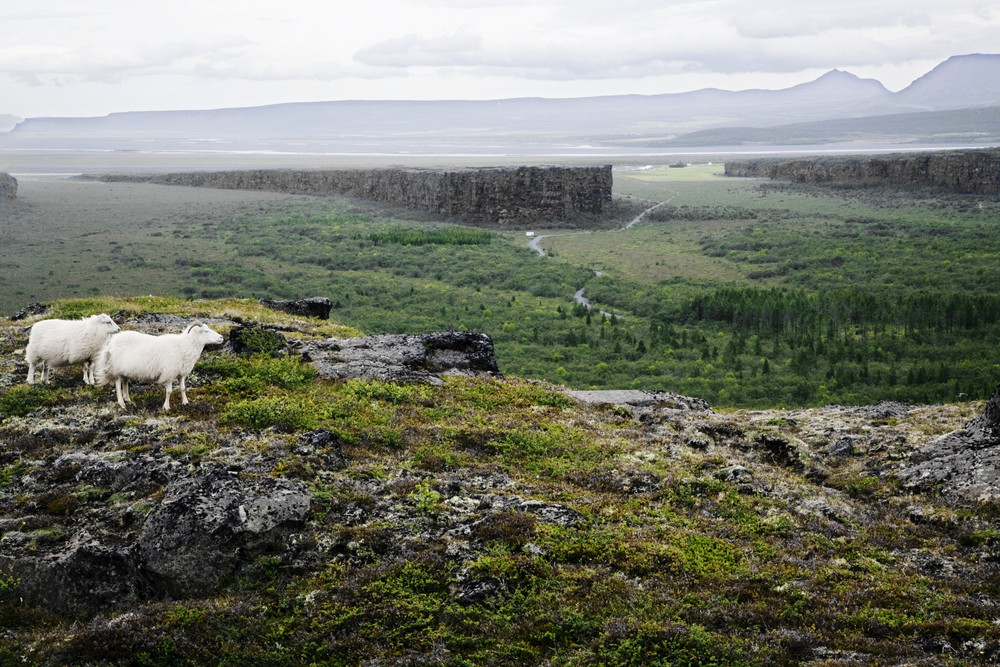 Highlands and Lowlands