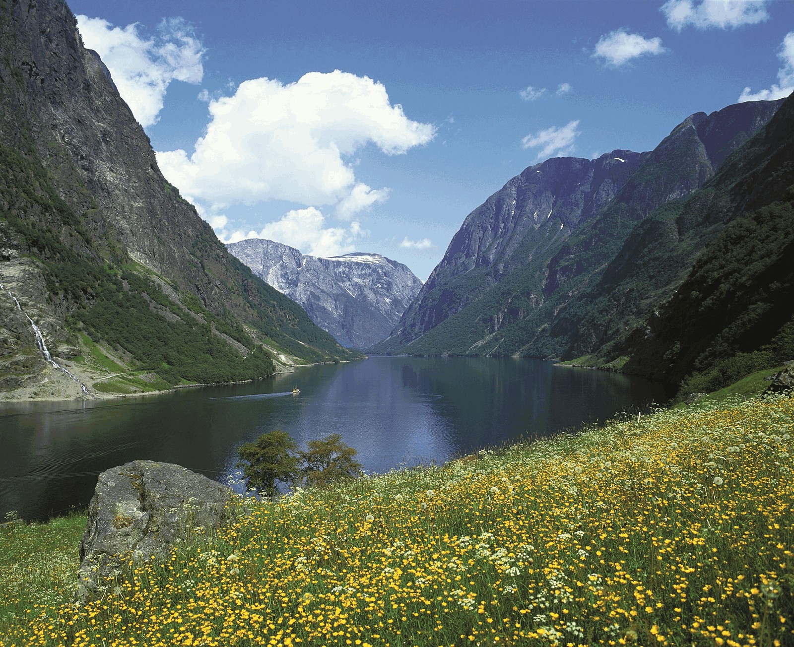 Scenic Sognefjord Tour